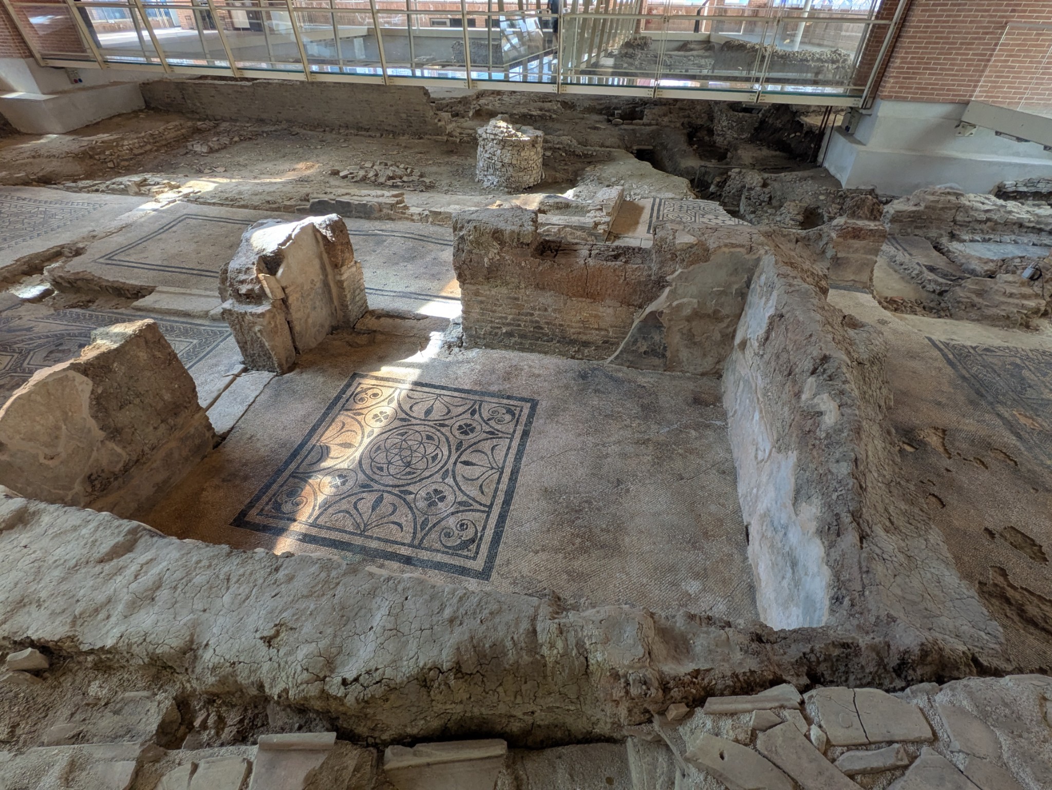 PXL 20250903 091152235