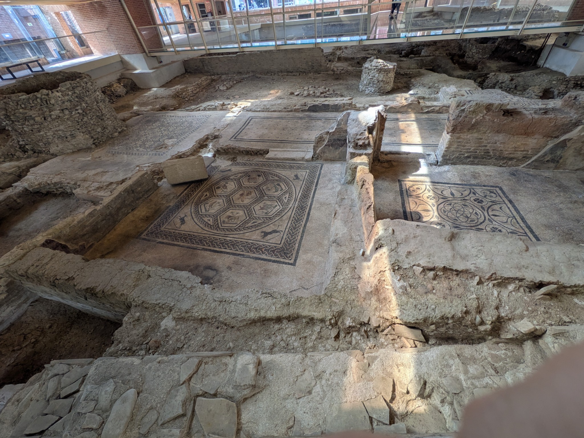 PXL 20250903 091257464