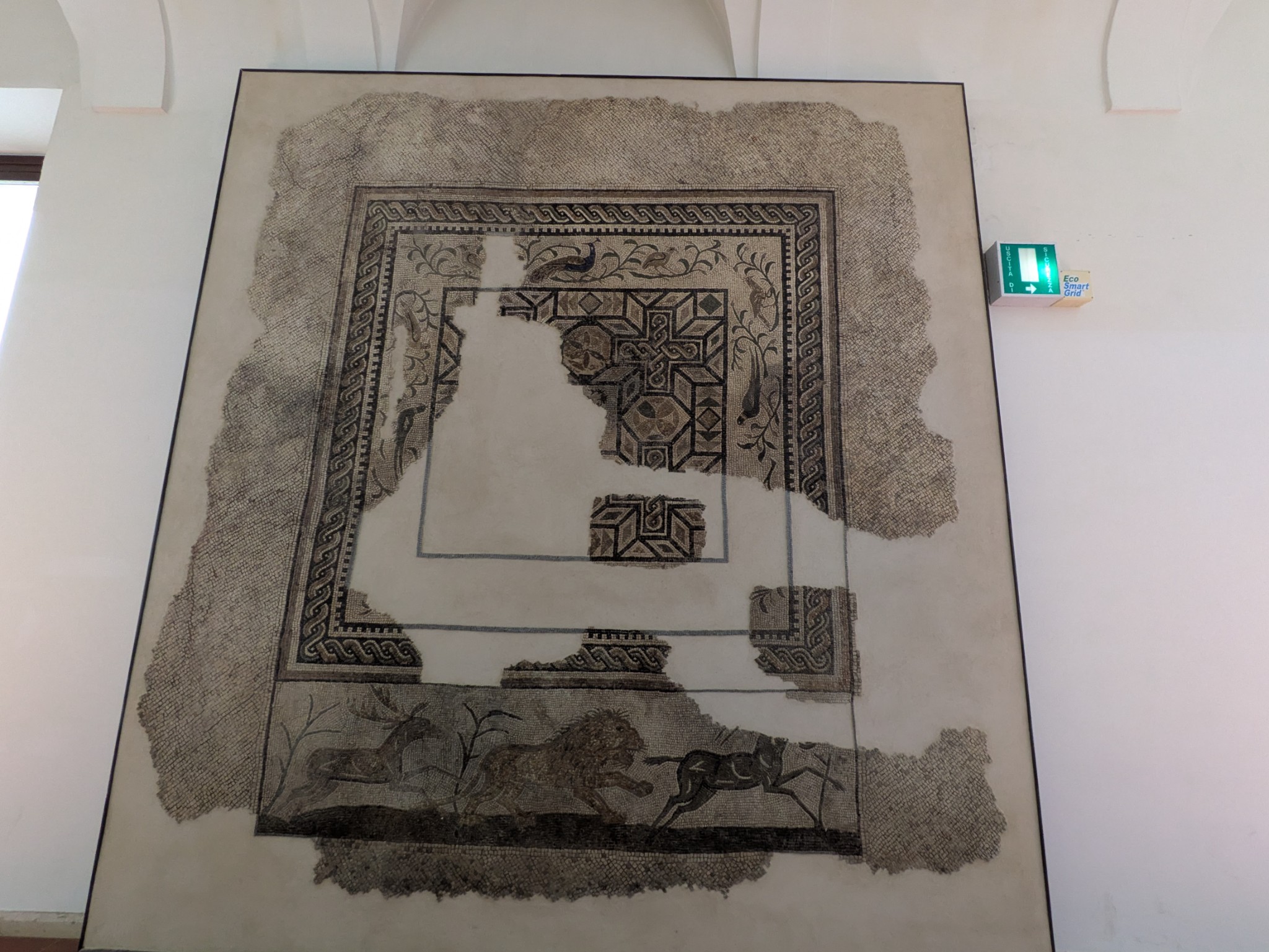 PXL 20250903 093202693