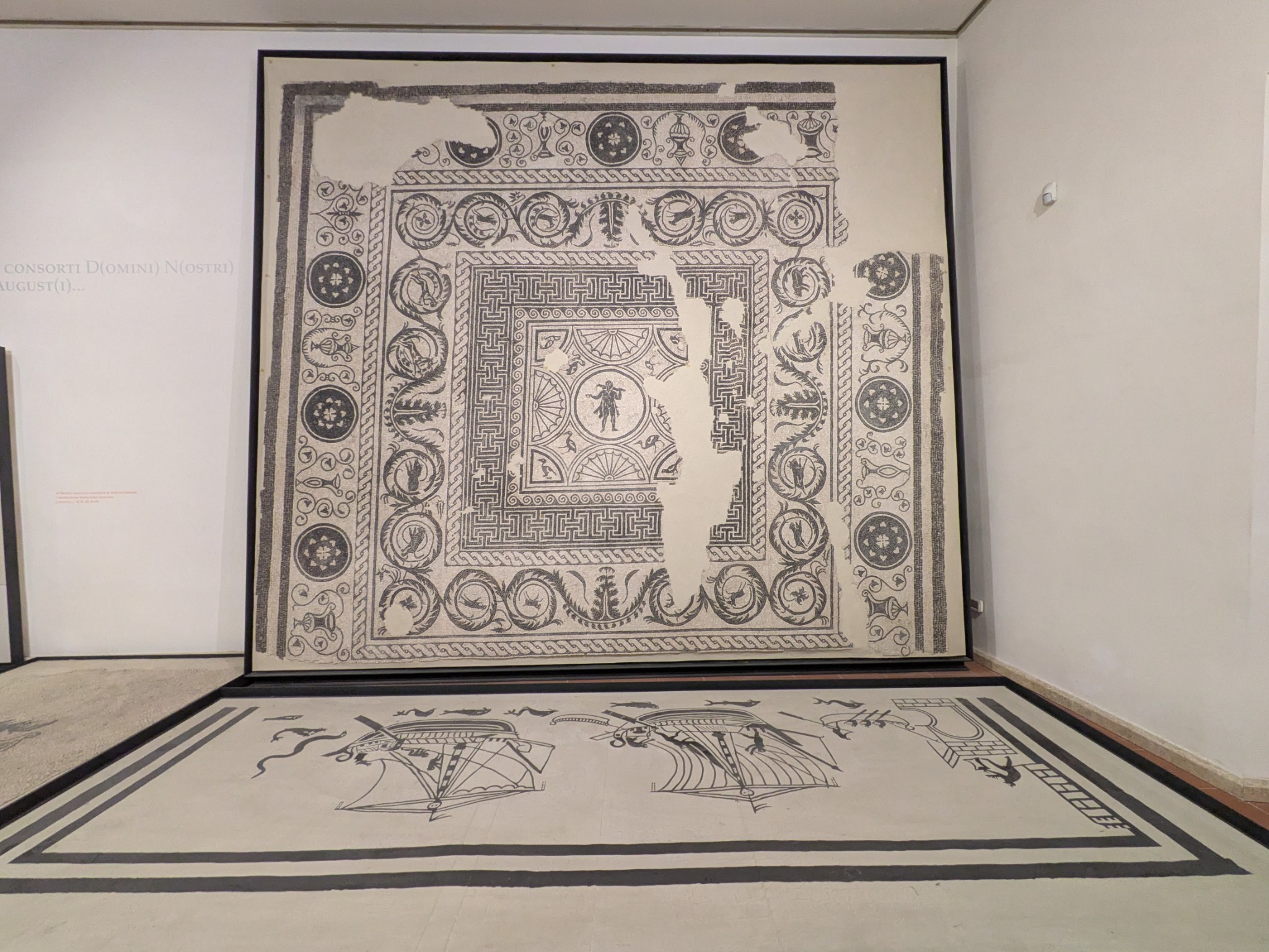 PXL 20250903 093514949