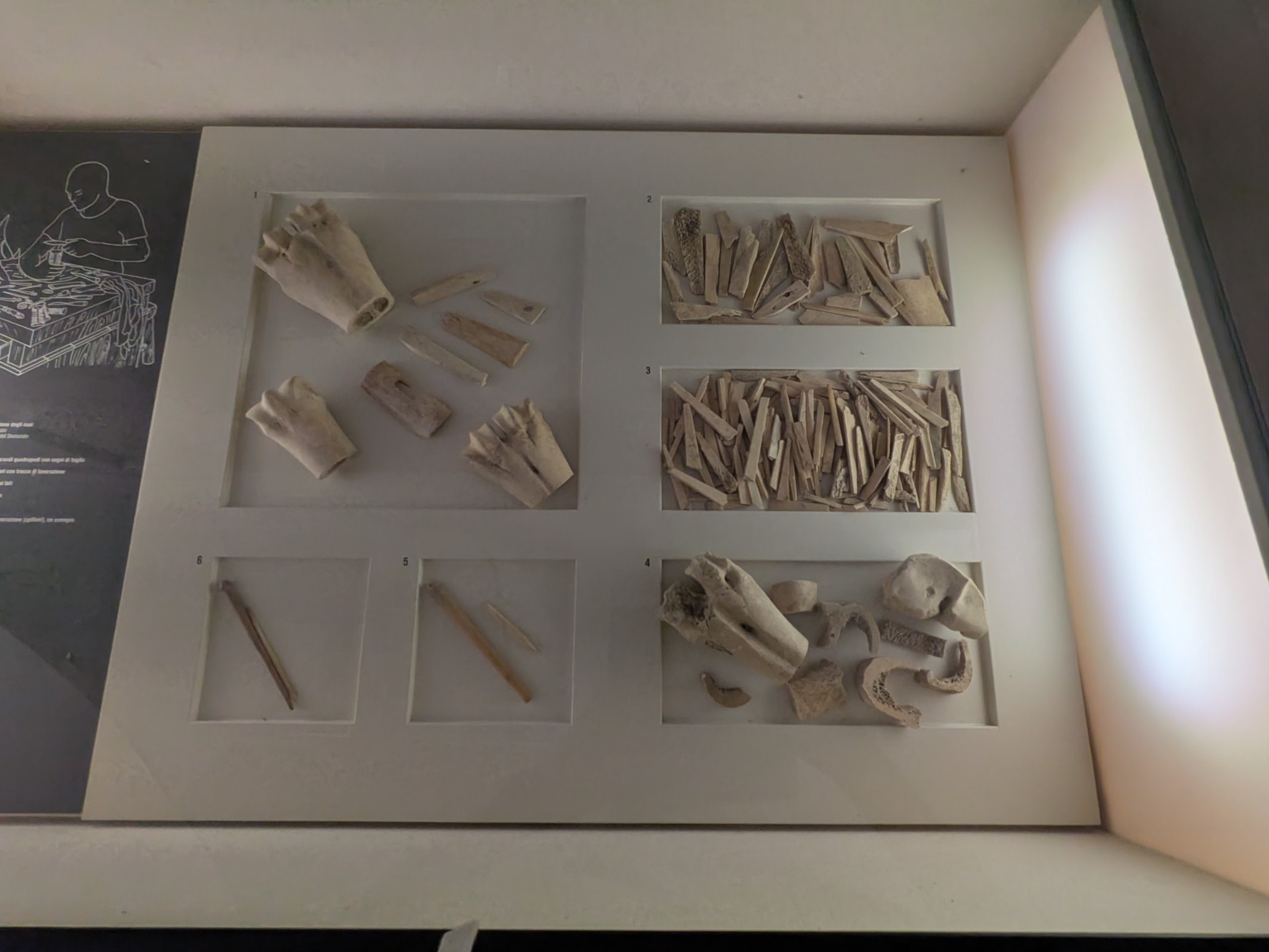 PXL 20250903 093939576.NIGHT