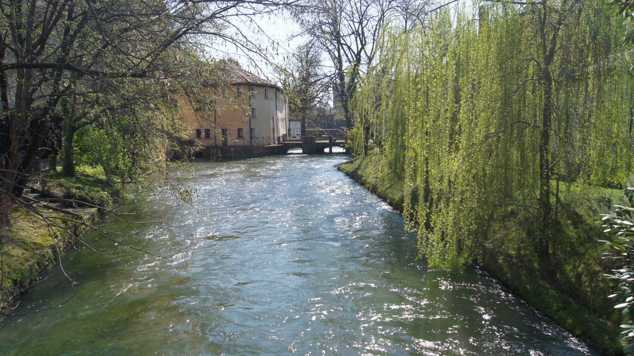 DSC00436