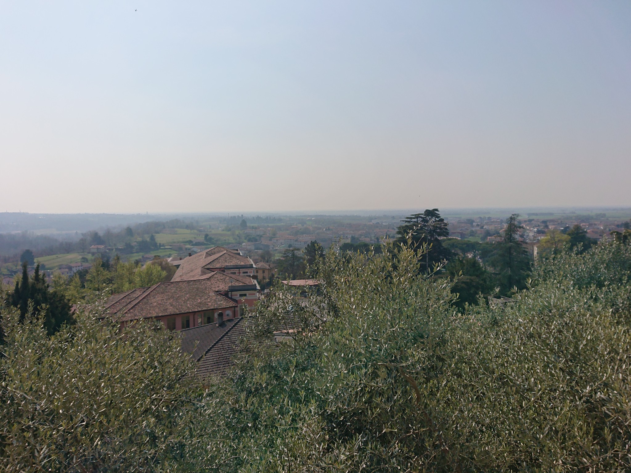 DSC 0068 1