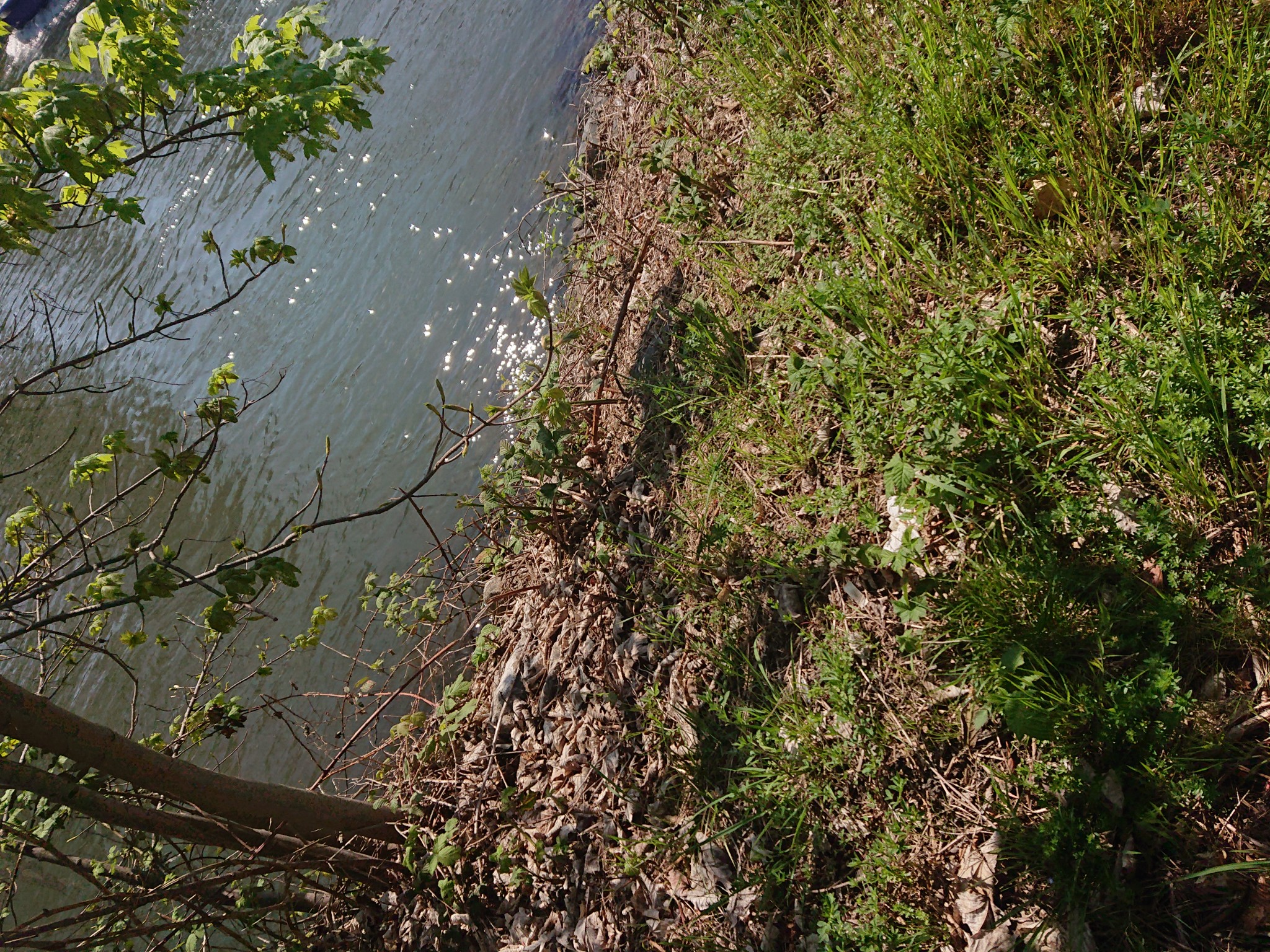 DSC 0140