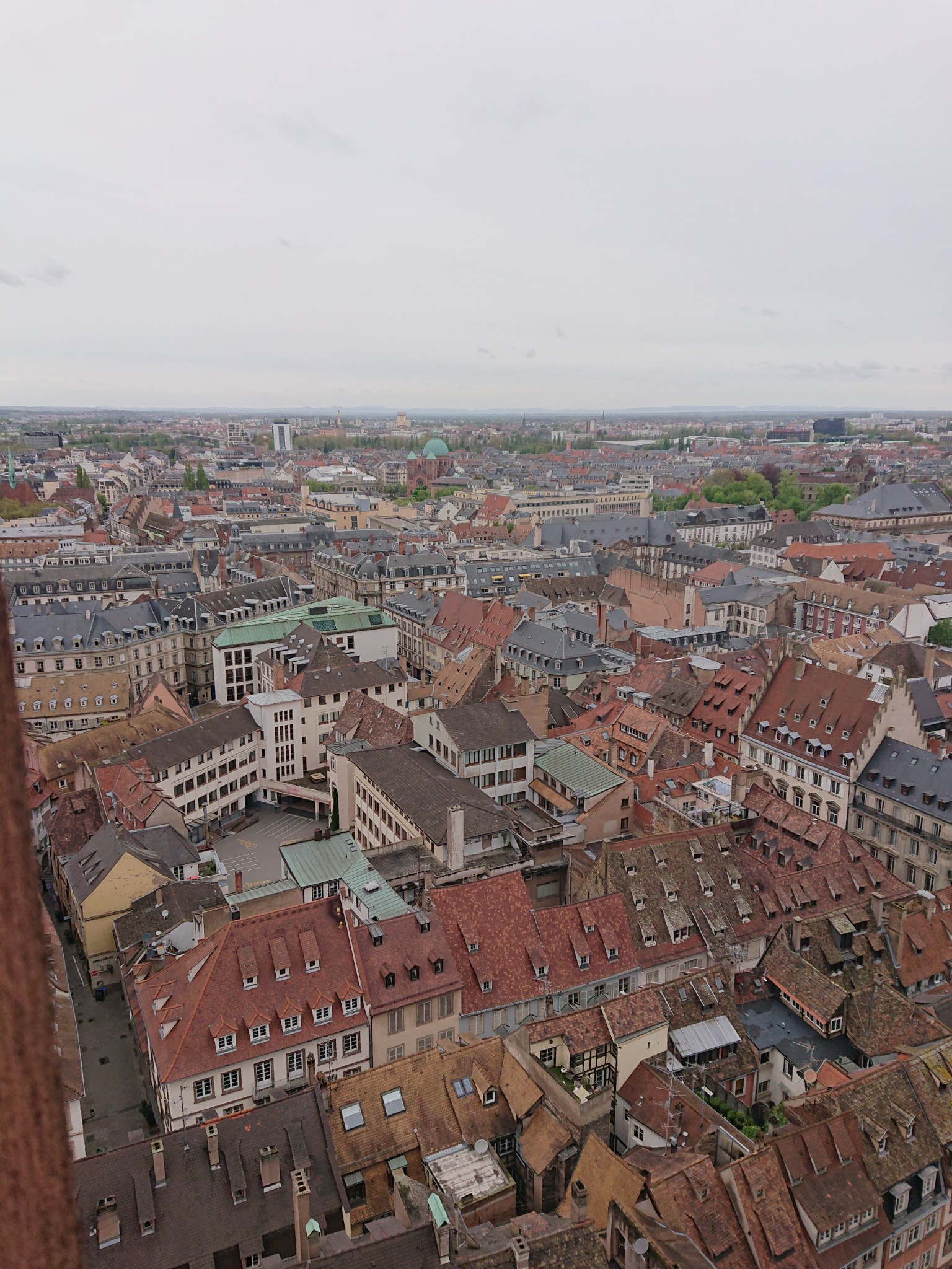 DSC 0216