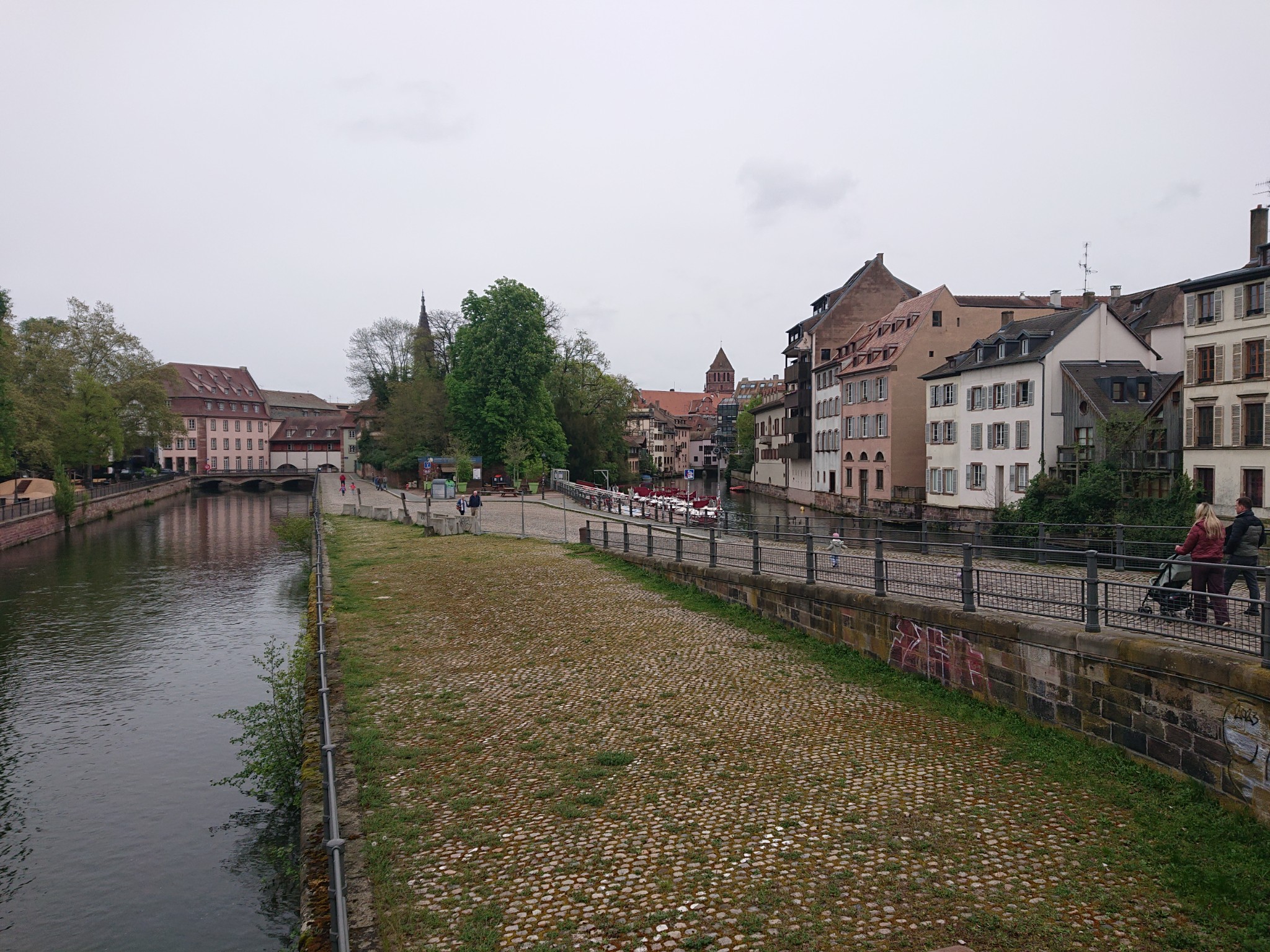 DSC 0245