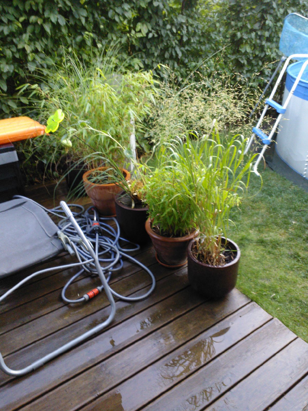 3ad86c0d87b700f3c2e6d8df1dc2f537d481e4d4