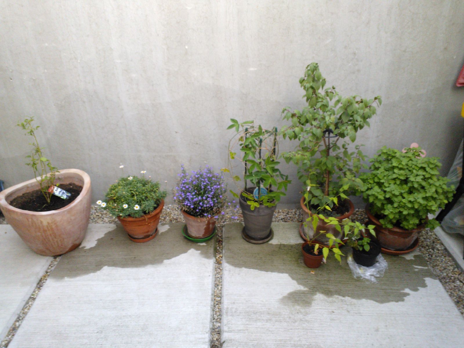 4e41d19838ace5ca734be1065ce773d1bae58118