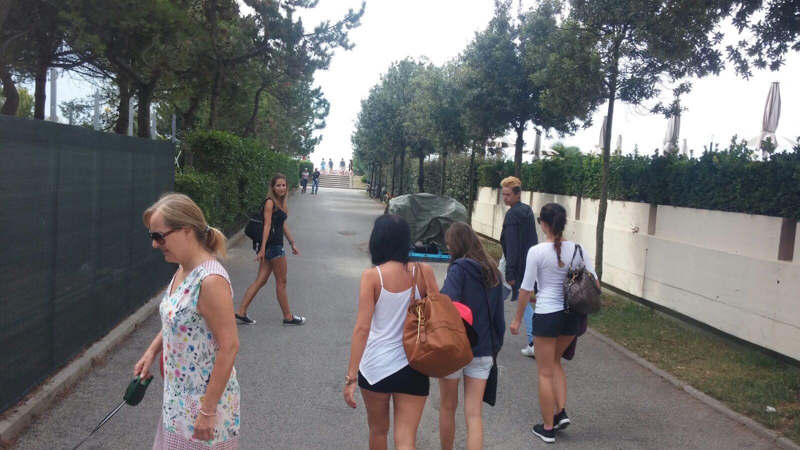 AltAh3YLGf2DbZr1u4jVeyhJCSodUWWZoakkIw amefQeEe