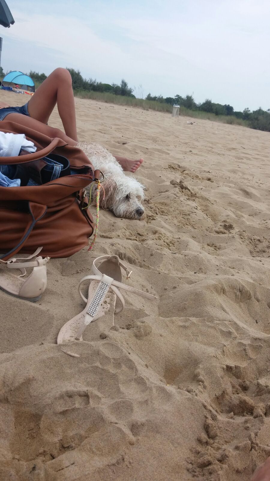 AltAmnQpI2lgx Z4nTnoUTltlZfuZPVzkDKlTP3GTs0Rp3N