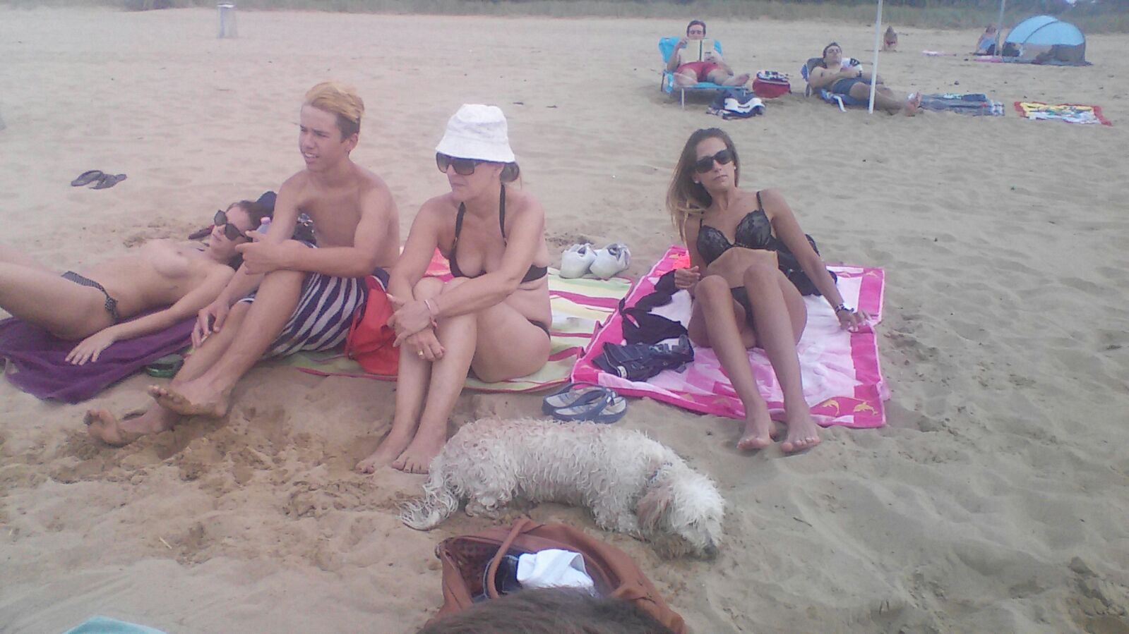 AltAmp TP5XEiuUkqwTpE0M8k7beRuJ8fwfaVUNnAfAP2Bj