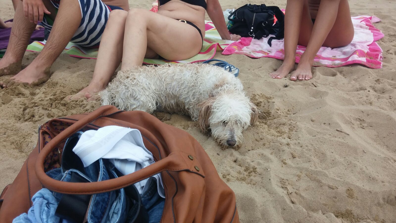 AltAqQCoR5B JYzcKP1gf95ygtT Ut8isAOxpSO28q0TDaw