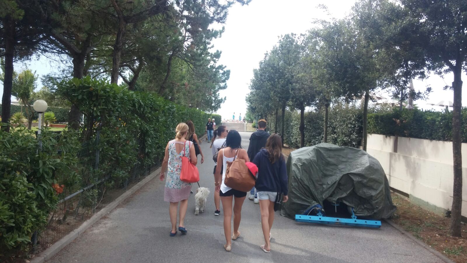 AltArYT2F04pGC3QNu83 qepQDiXgoPdoHZenmyXMTVKH3X