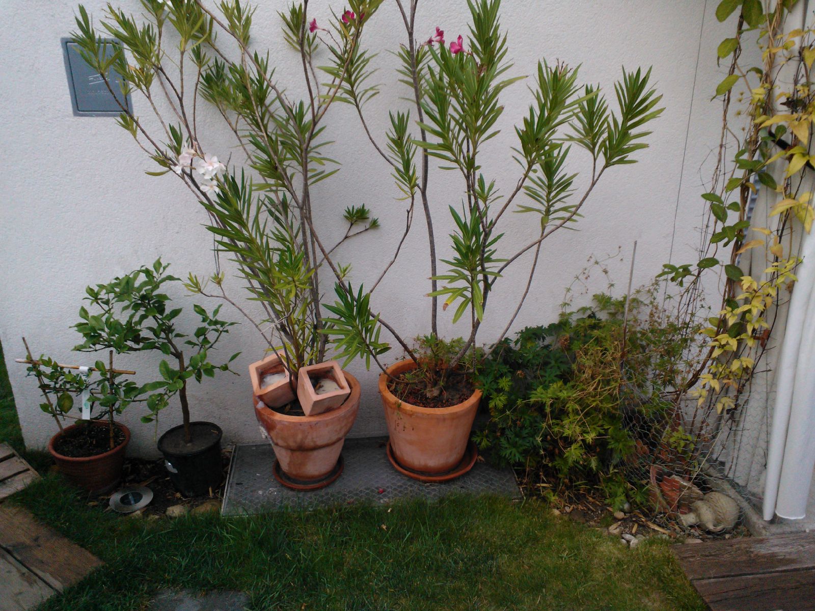 F4a1c9b472fd963e0a10c0f9a649ca8c043ce1c0